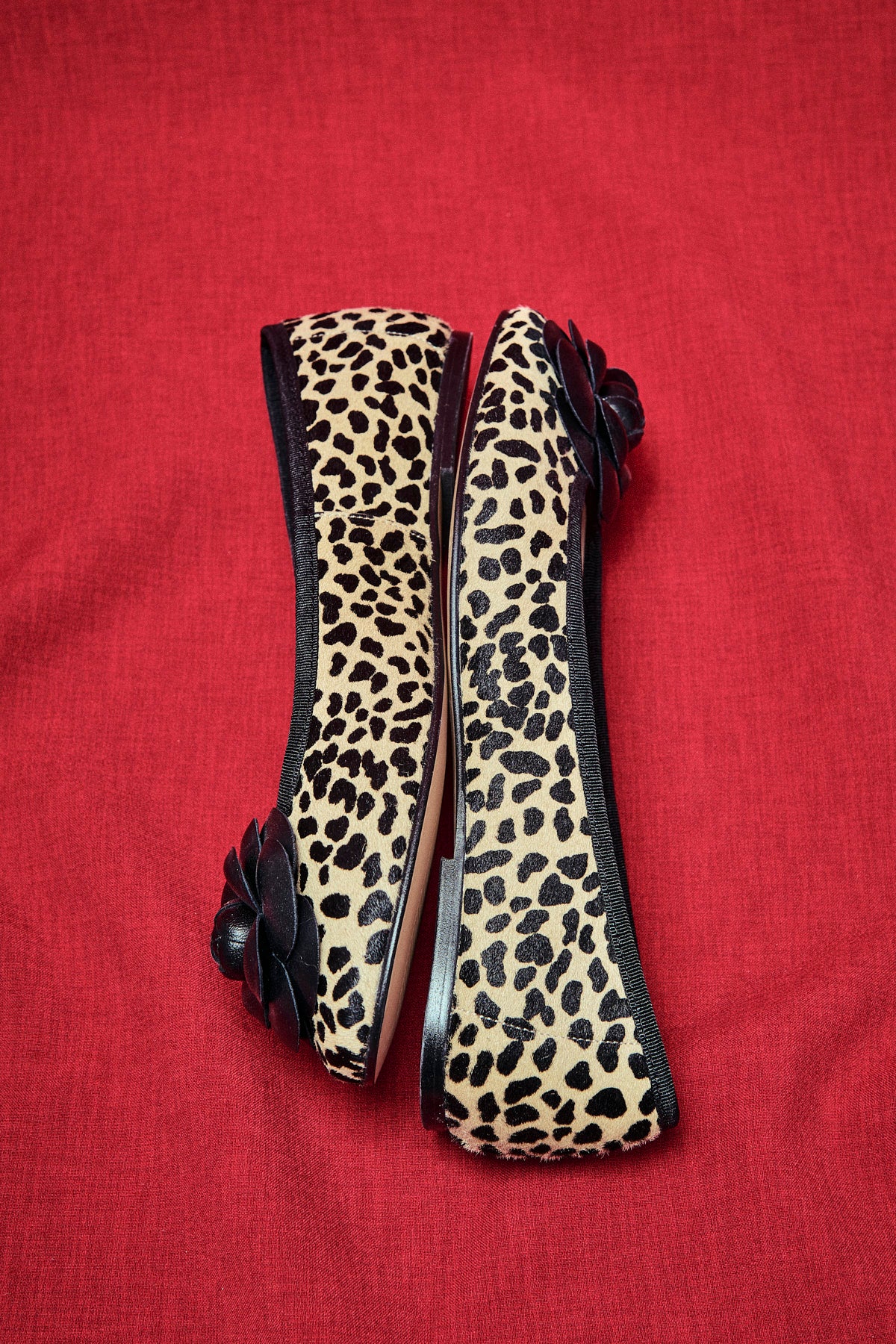 BAILARINA FLOR LEOPARDO - Image 3