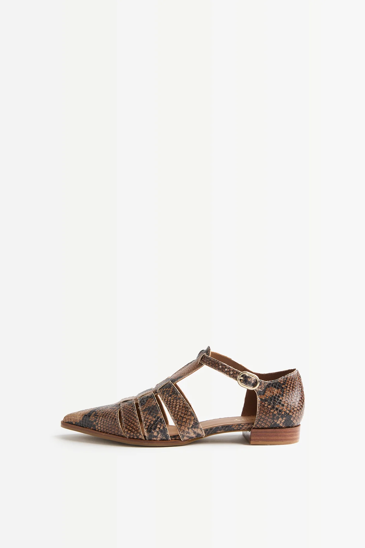 ZAPATO PUNTA PRINT - Image 2