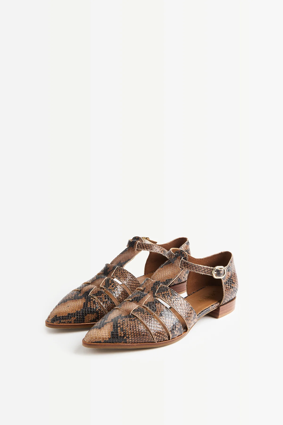 ZAPATO PUNTA PRINT - Image 3