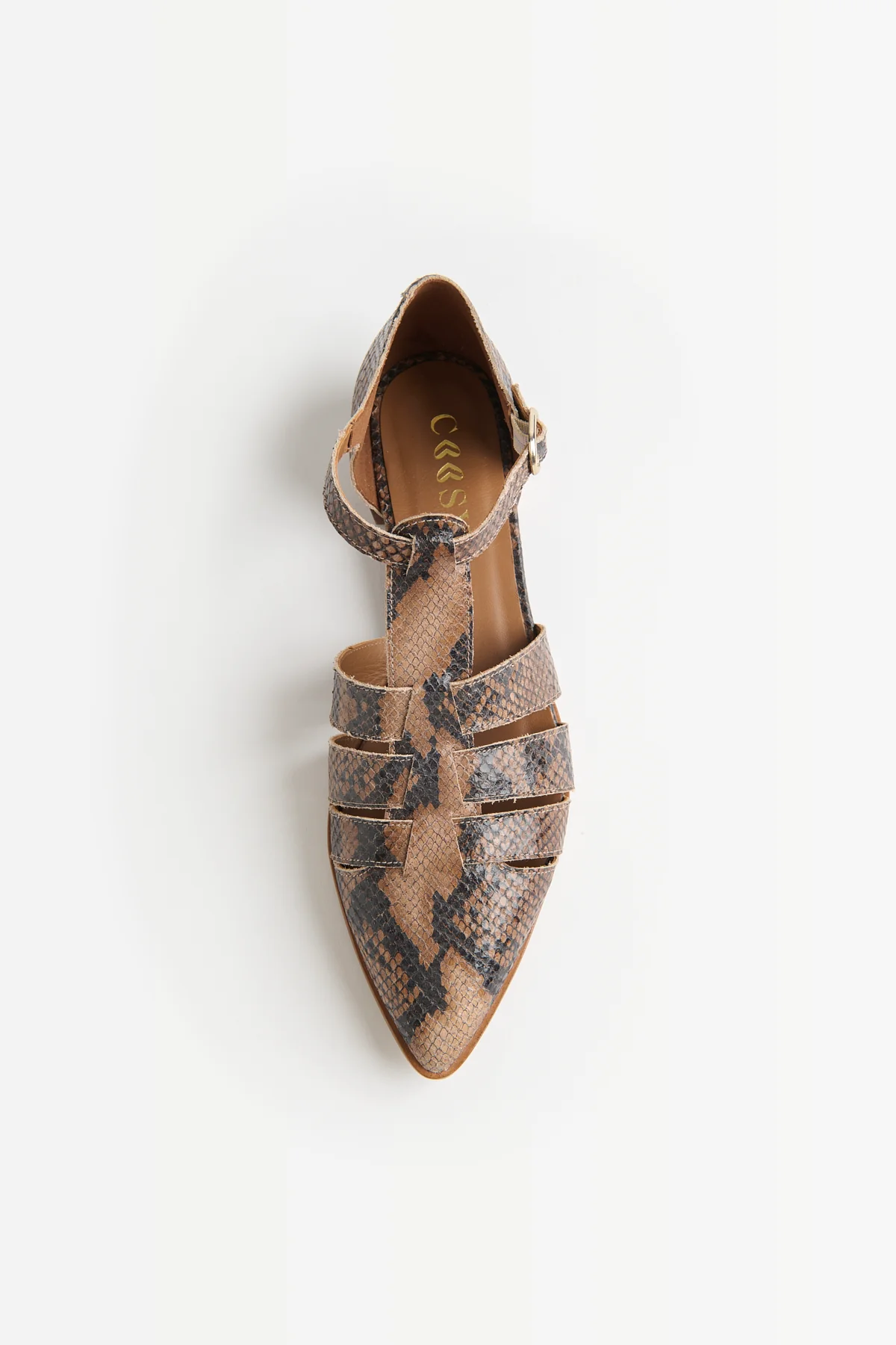 ZAPATO PUNTA PRINT - Image 4